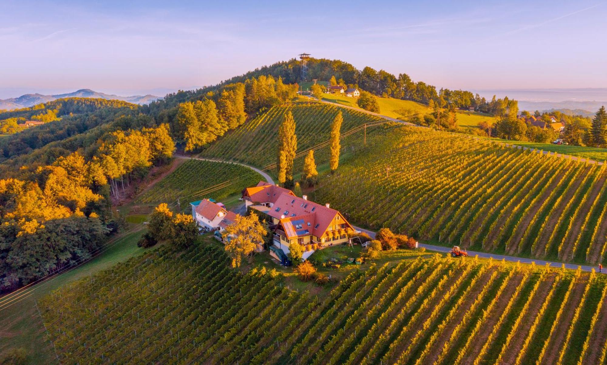 Weingut Winzerzimmer Rothschaedl Лойчах Экстерьер фото