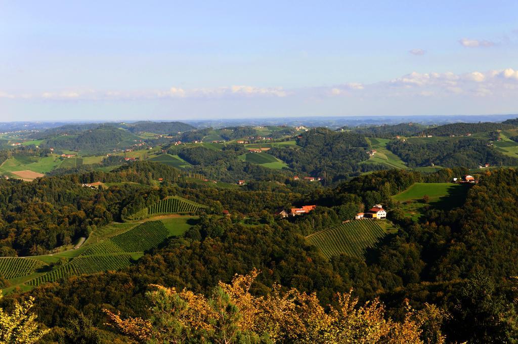 Weingut Winzerzimmer Rothschaedl Лойчах Экстерьер фото